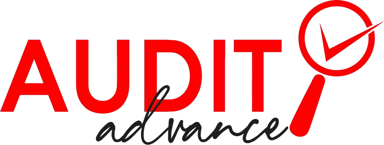 logo audit transparente